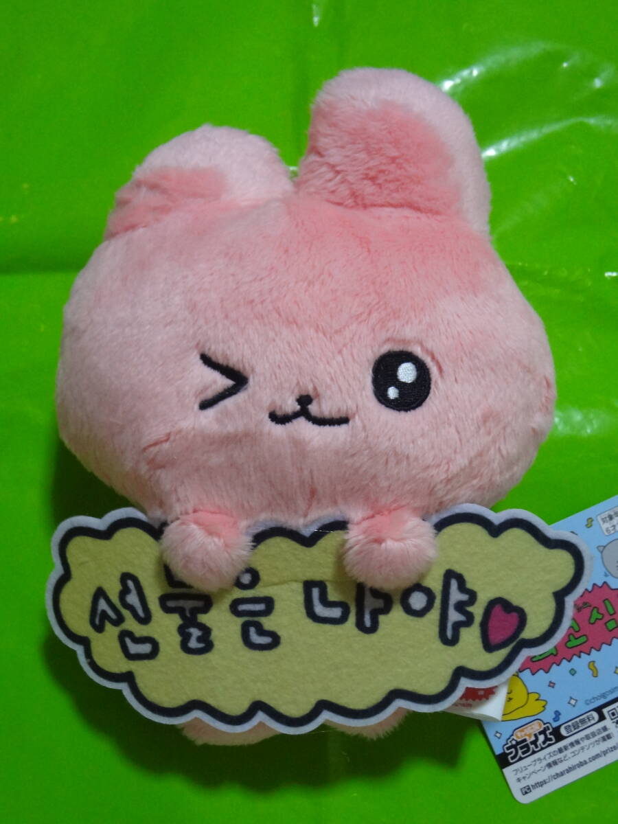 チェゴシム メッセージ付き ぬいぐるみ 20cm