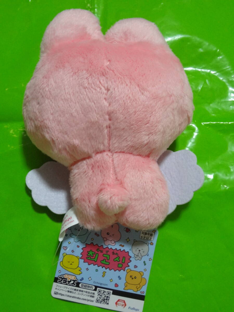 チェゴシム メッセージ付き ぬいぐるみ 20cm