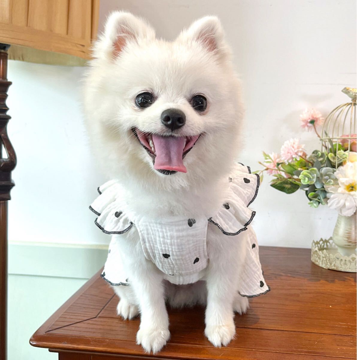 犬服 リボン ワンピース S ドット ハート 犬用 小型犬 ワンピース Dカン付き ペットウェア おしゃれ 旅行 おでかけ