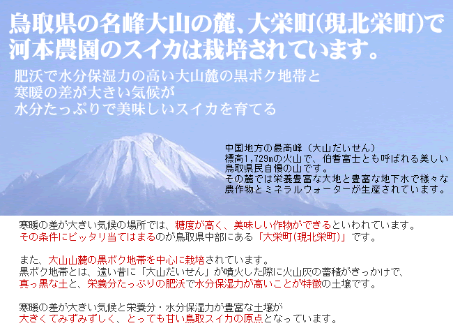 1円～☆即決☆6月中下旬～予約順に出荷】河本農(nóng)園の大玉スイカ【訳あり (1玉6～8kg程度) 鳥取産西瓜すいか【常溫】1箱づつ出荷河68