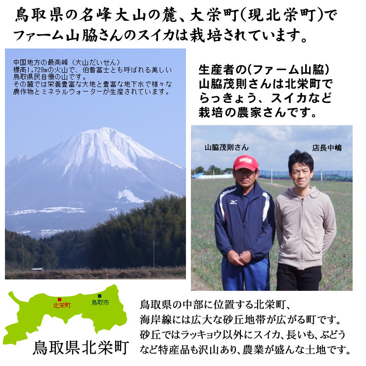 【1円～】6月上中旬～予約順に出荷】ファーム山脇 大玉スイカ【訳あり】(1玉11～13kg程度)鳥取産すいか【常溫】1箱づつで出荷山1113