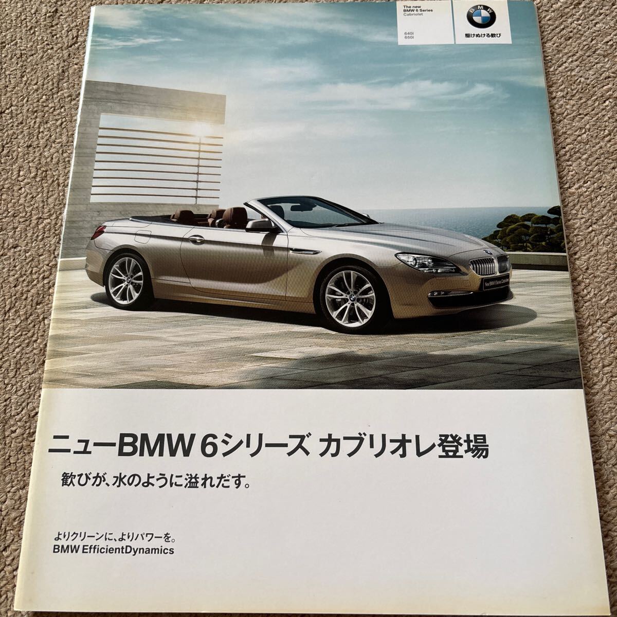 【送料込み】BMW 6シリーズ カブリオレ カタログ 2011年2月24日発行_画像1