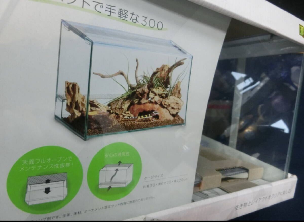 レプテリア クリア300 幅30×奧行20×高さ20cm