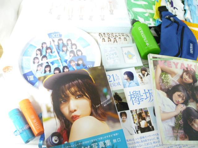 【同梱可】中古品 アイドル 日向坂46 欅坂46 影山優(yōu)佳他 マフラータオル 寫真集 ペンライト等グッズセット