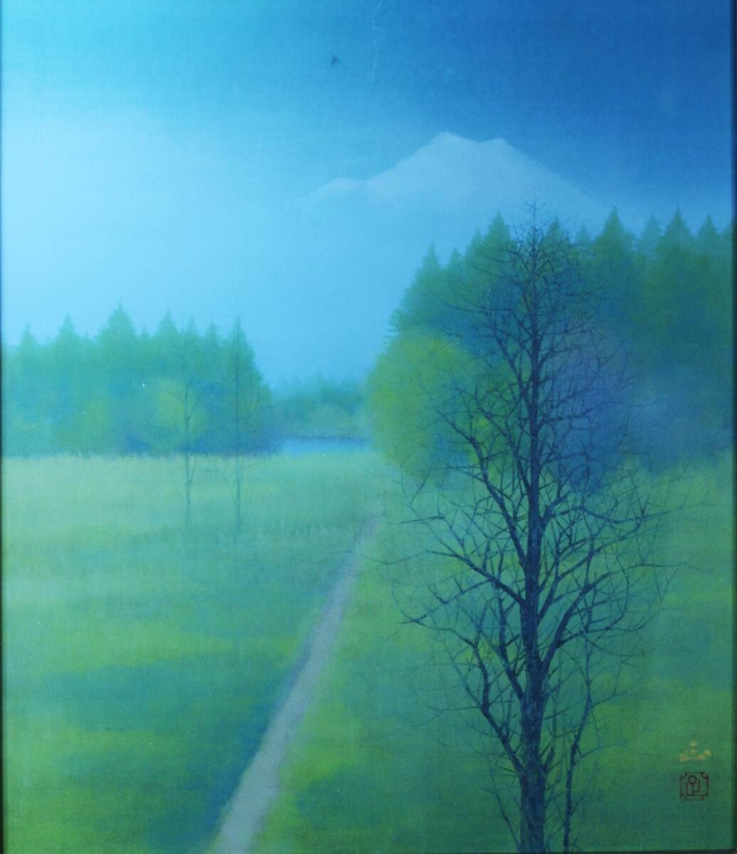 希少 韓国軍 襟章 ワッペン付き HBT バクテリアカモ 長袖シャツ L