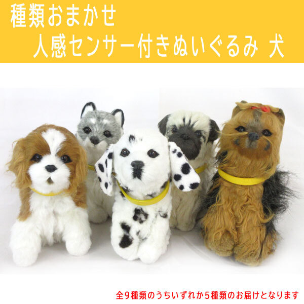 送料300円(稅込)■jz586■種類おまかせ 人感センサー付きぬいぐるみ 犬 5點【シンオク】