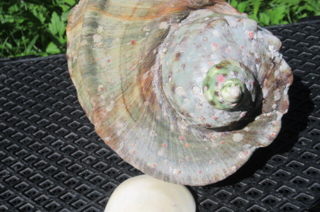 item_image_7