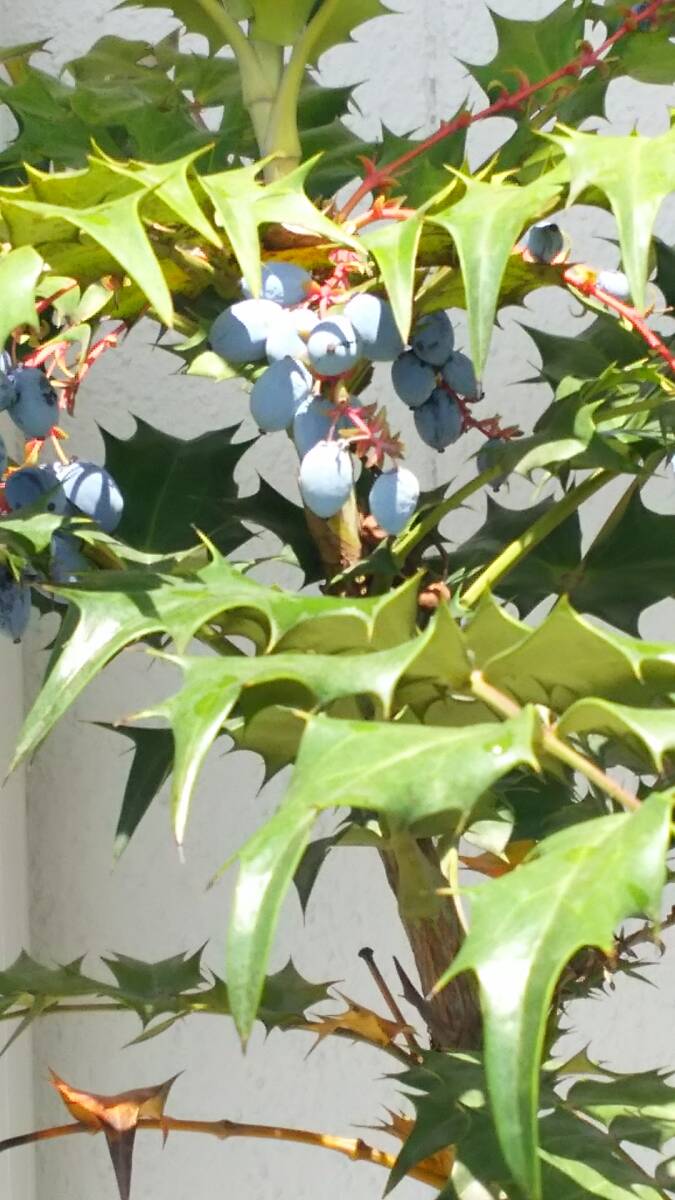 item_image_7