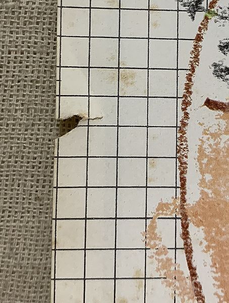 シングル ジ・エマニエルズ チューリップの変名・覆面ユニット ボクチンの友だち インディアン・リバー ETP-20145 ★ジャケ左横に破損★_画像2