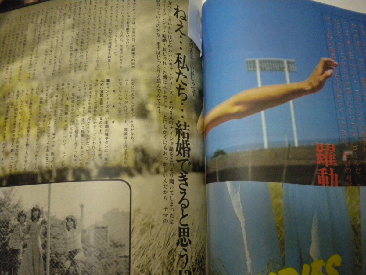 明星」昭和50年11月号 ずうとるび キャンディーズ 岡田奈々