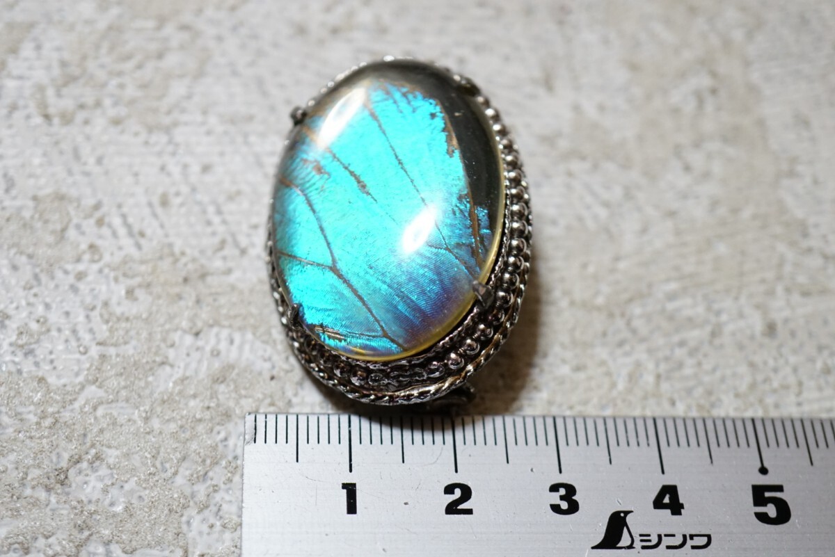 969 モルフォ蝶 バタフライウイング ブローチ ヴィンテージ アクセサリー アンティーク 裝飾品