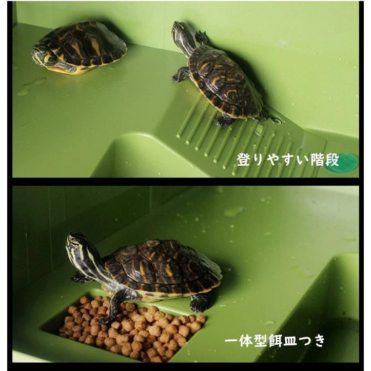 爬蟲類 飼育ケース 浮島付き 【グリーン】 カメ飼育ケース カメ 飼育ケージ 透明 飼育容器 ビオトープ インテリア 區(qū)分100S LB-220-GR