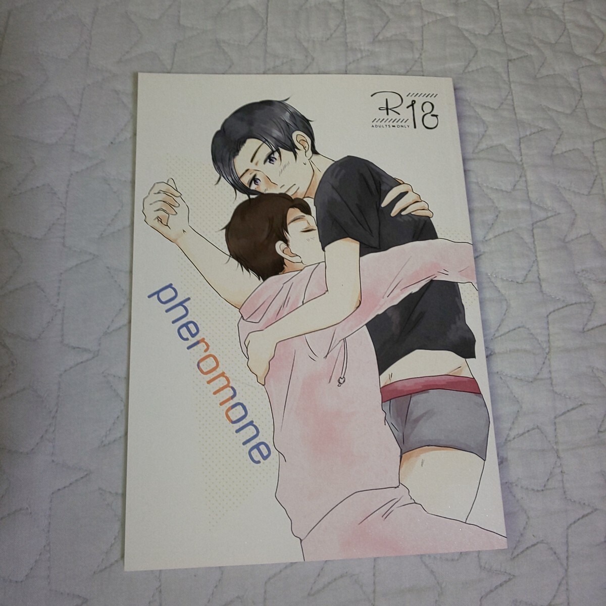 mr × fm★漫画 pheromone フェロモン R-18 16ページ 2019年1月27日 発行★mrfm BL ボーイズラブ 魅区 SZ 同人誌 成人向け 18↑ 三次元_画像1