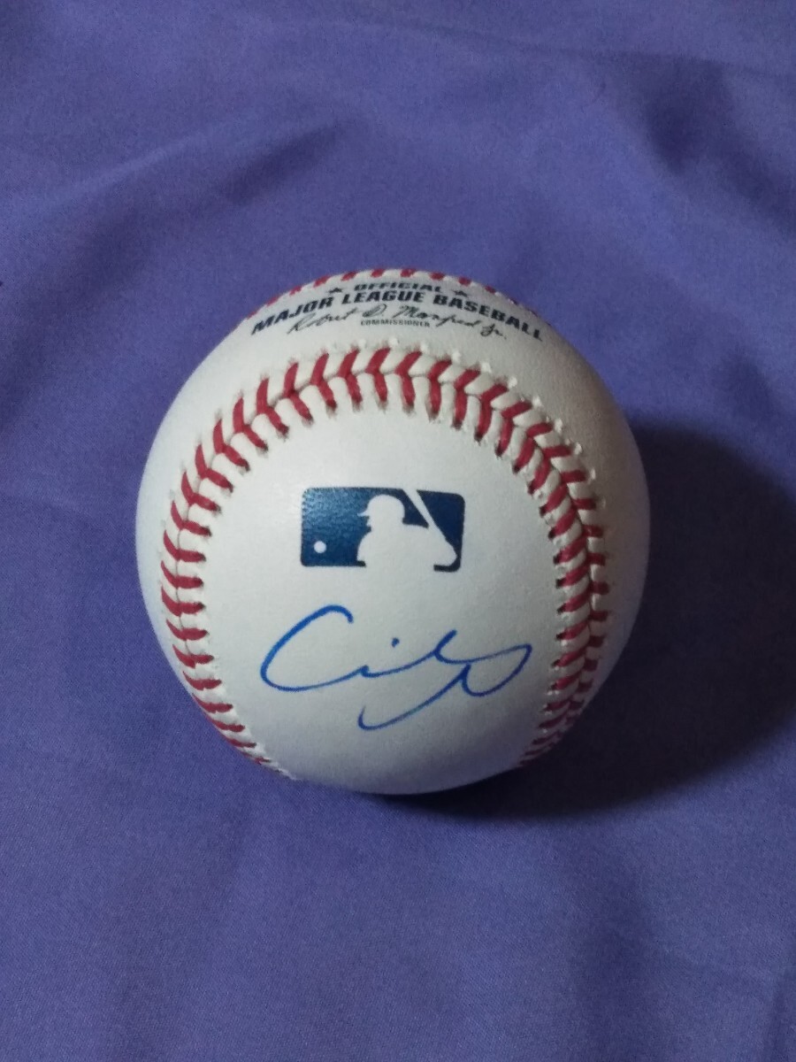 大谷翔平 直筆サインボール MLB 公式試合球 Rawlings 写真とケース付 大谷翔平 直筆サインボール メジャー MLB 公式試合球 Rawlings