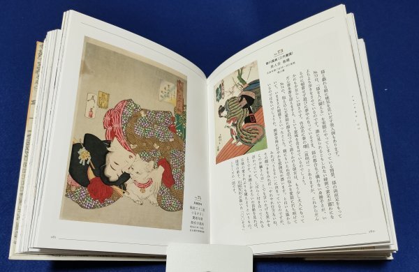 0 альбом с иллюстрациями если . кошка выставка 2022 год Nagoya город музей B0204Ap