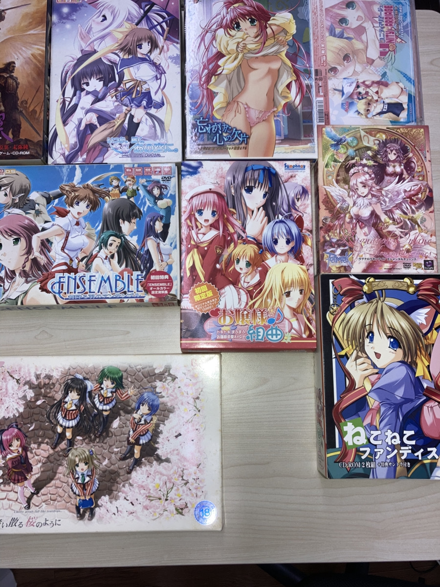 アダルトゲーム　PCゲーム　PCソフト　まとめ売り　未チェック品　ヤ120　2個(gè)　AG2