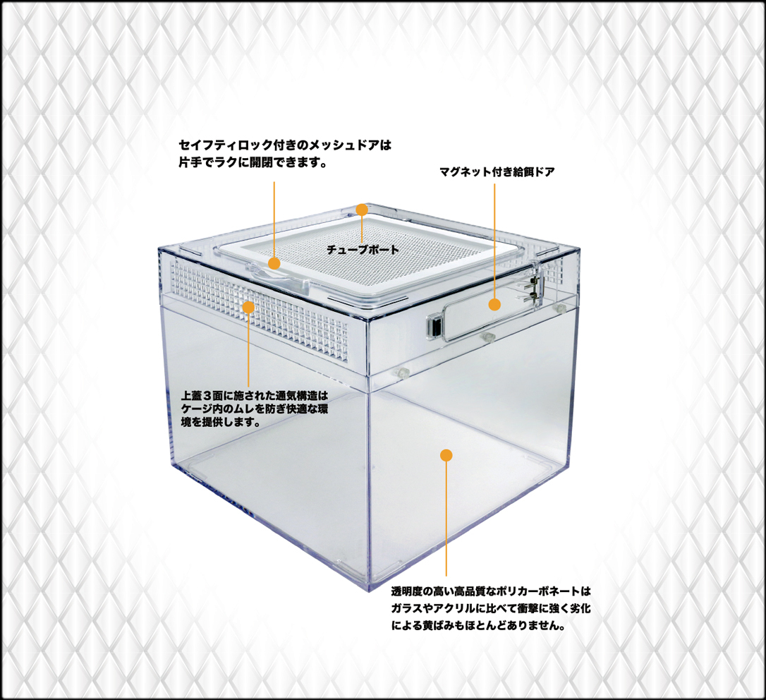 ●　レプタイルポリカケース2020白フタP01　オロチ(OROCHI)　爬蟲類用飼育ケース　新品　消費(fèi)稅0円　●
