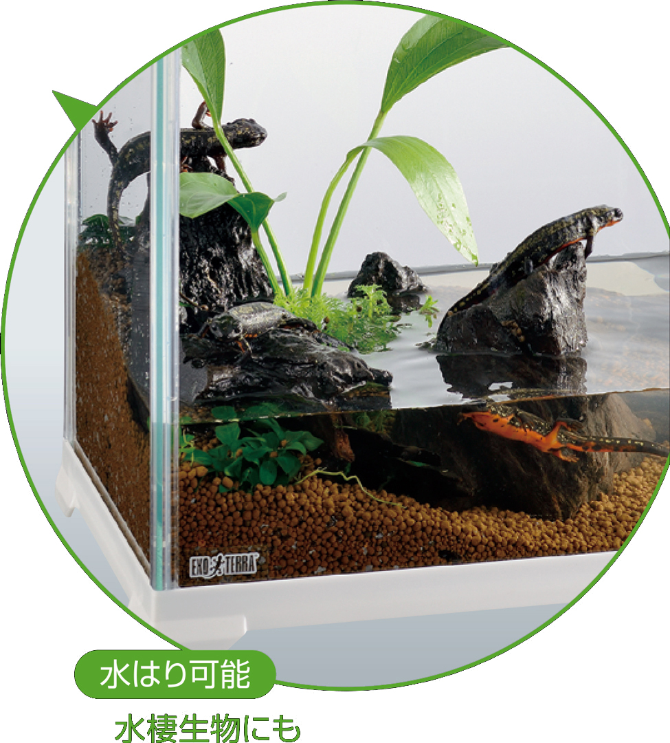 ★　レプテリアホワイト300High　ジェックス　エキゾテラ　爬蟲類用水槽　消費稅0円　新品　★