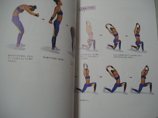 *AYA корпус mesodoBASIC AYAtore решение версия Basic сборник [ obi *DVD( вскрыть settled ) есть ]*