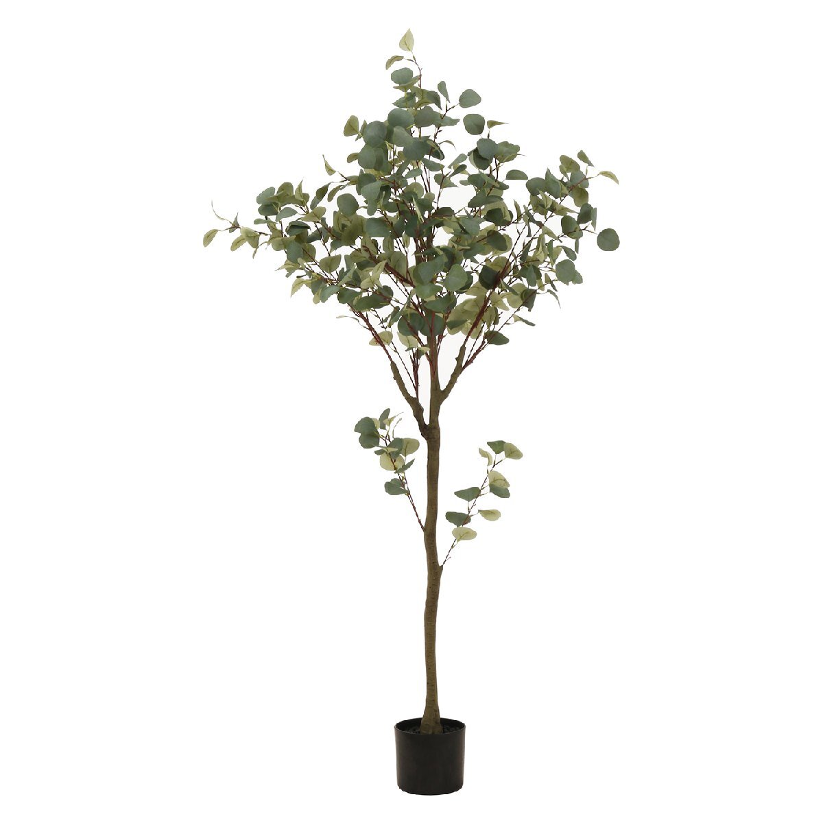 フェイクグリーン 観葉植物 ユーカリ 高さ150ｃｍ 造花【新品】【送料無料】(北海道 沖縄 離島は別途送料)