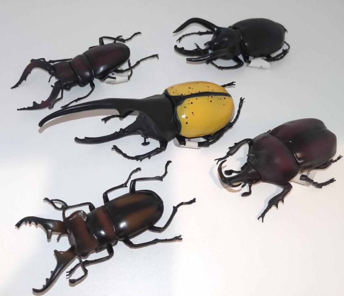 カブトムシ　クワガタ　フィギュア?。捣N