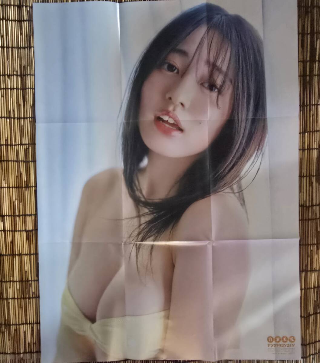 白濱美兎　ヤングドラゴンエイジ2025VOL.28　特別付録　ポスター　７０㎝×５０㎝