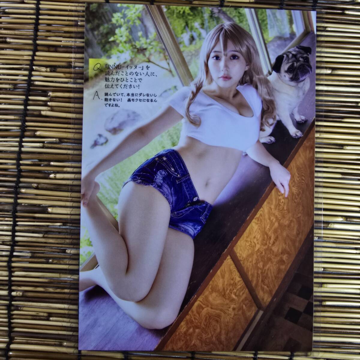 [ высокое качество толстый 150μ ламинирование обработка ] рисовое поле Nakami . Young Magazine 2025NO.27 B5 купальный костюм журнал вырезки 5 страница [ bikini model ]