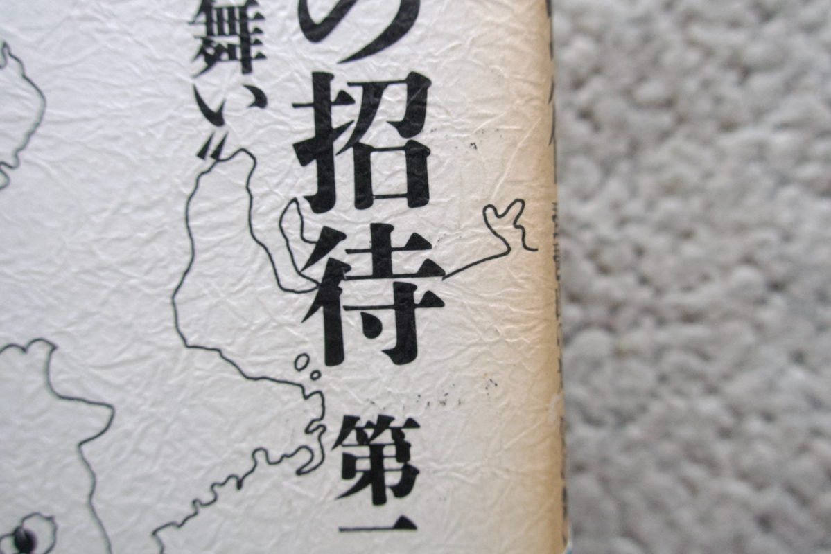 続天河への招待 第二部 琵琶山の光”気の舞い” (駸々堂出版) 大山源吾_画像4
