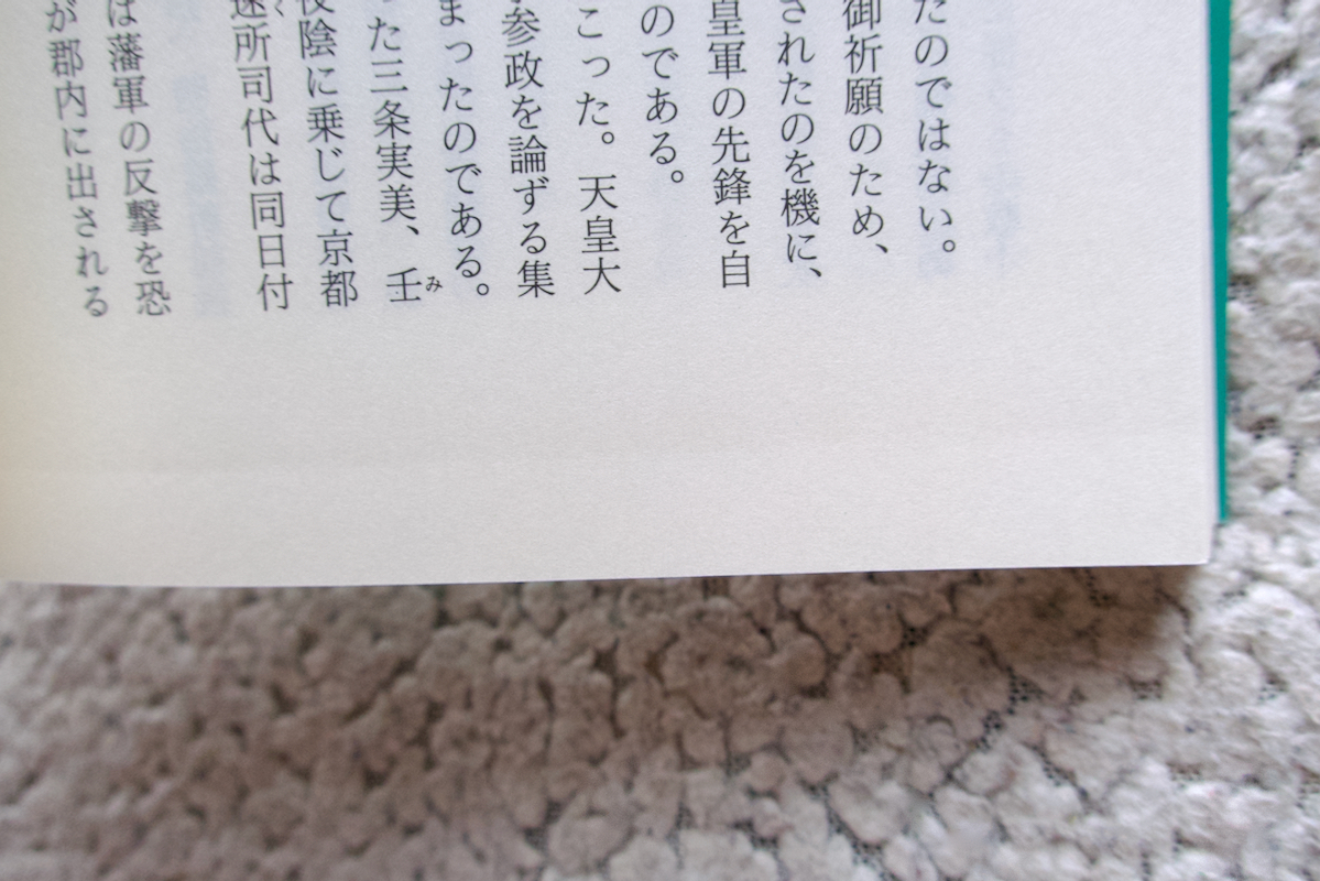 続天河への招待 第二部 琵琶山の光”気の舞い” (駸々堂出版) 大山源吾_画像8