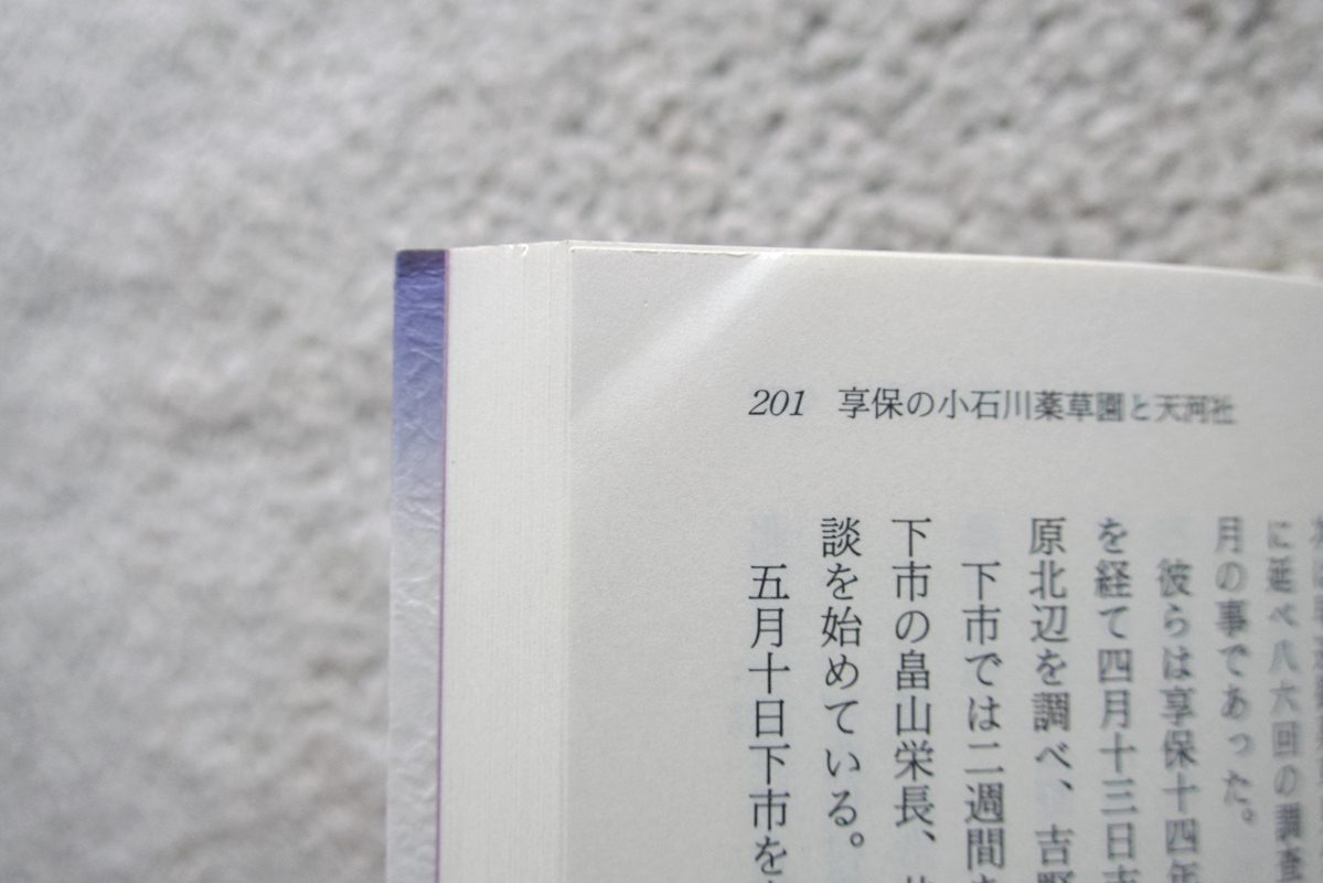 続天河への招待 第二部 琵琶山の光”気の舞い” (駸々堂出版) 大山源吾_画像9