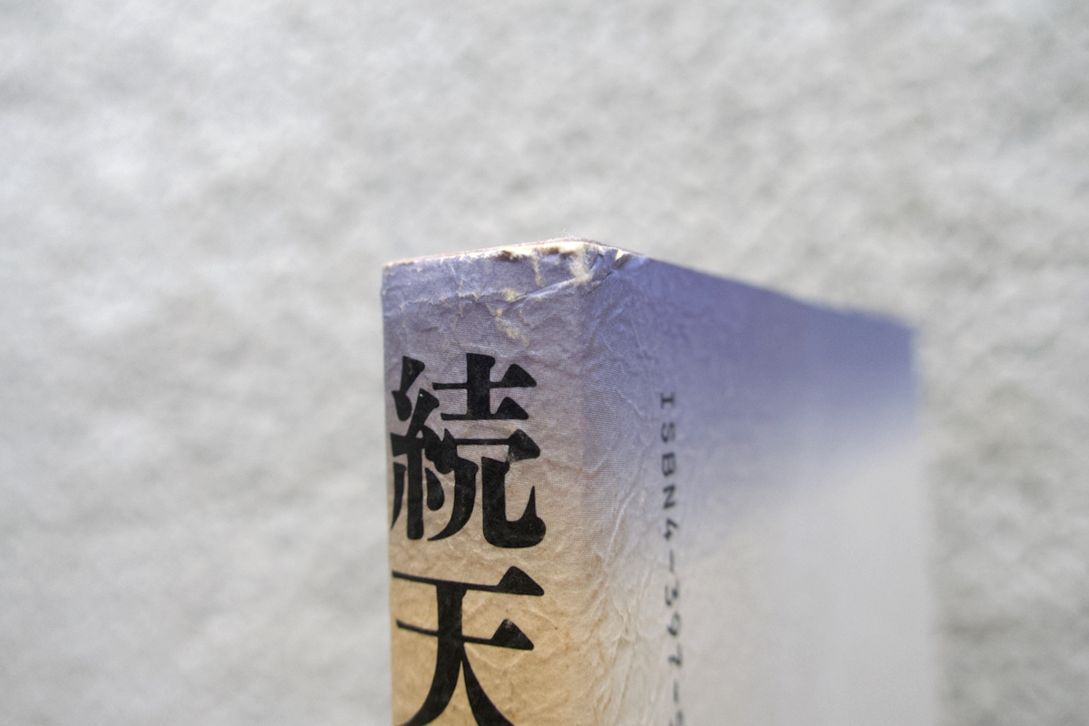 続天河への招待 第二部 琵琶山の光”気の舞い” (駸々堂出版) 大山源吾_画像3