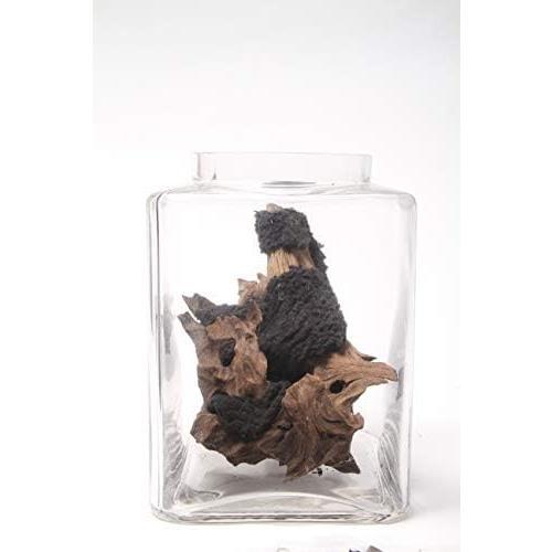 ピクタ 活著君 (植物を育てる布) M(48×30cm)