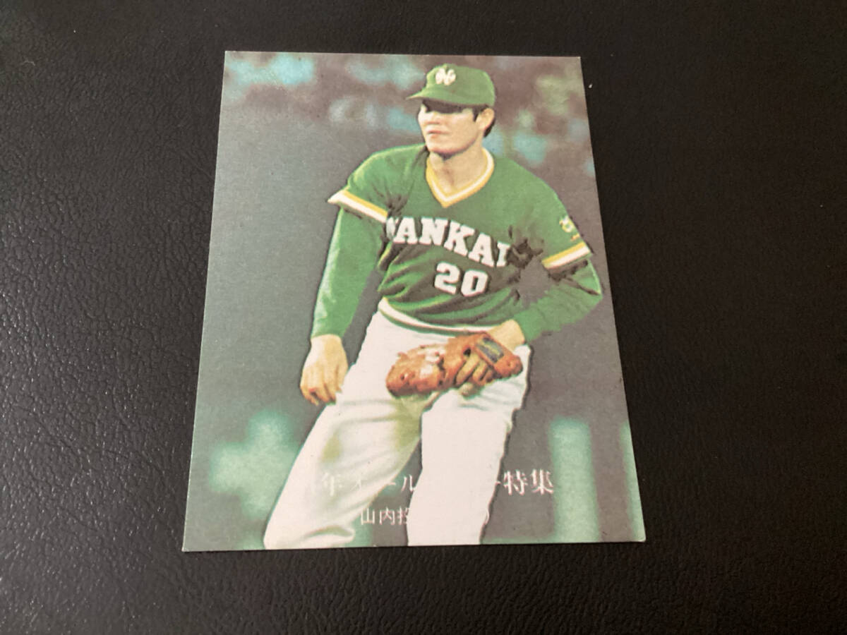  хорошая вещь Calbee 76 год гора внутри ( южные моря )No.871 Professional Baseball карта 