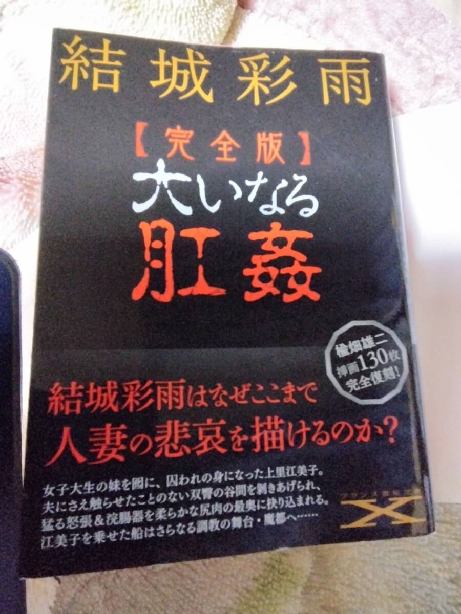 ●完全版　大いなる肛姦　フランス書院文庫X　結(jié)城彩雨●