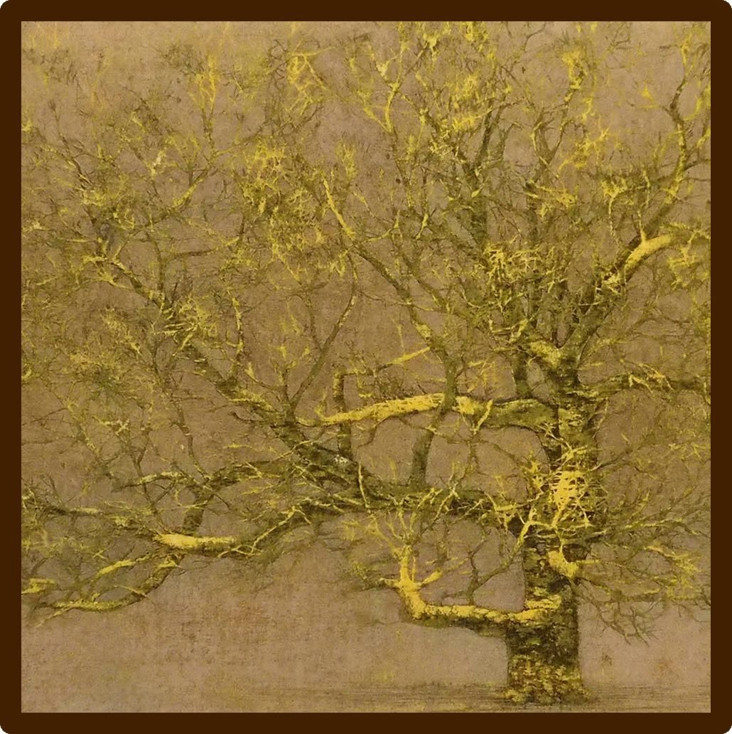 小松美羽 版画 火山の頂上と火の鳥 Amazon.co.jp: 小松美羽 －20代の軌跡－ 2004-2014 : 小松 美羽