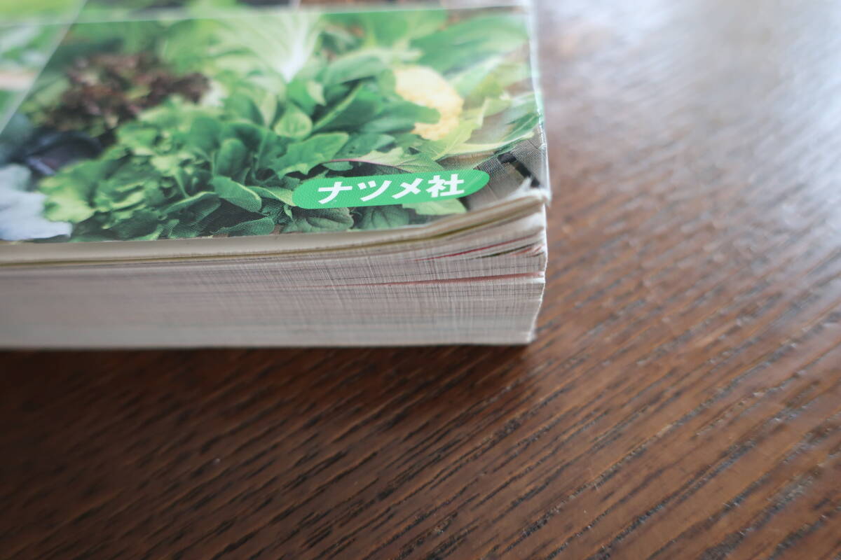 ☆おいしく育てる野菜づくり 失敗しないコツと対策☆五十嵐透☆ナツメ社