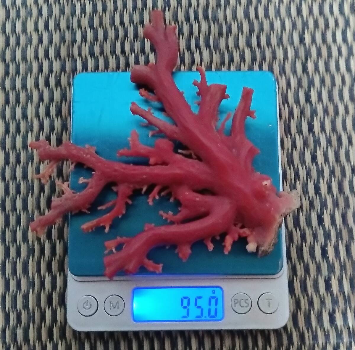 赤珊瑚　原木　サンゴ　珊瑚　95g