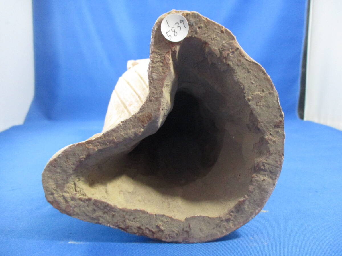 item_image_9