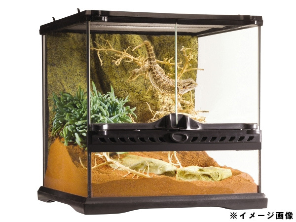 EXO TERRA стакан террариум 3030 PT2600 примерно ширина 31.5× глубина 31.5× высота 33cm дизайн . превосходный рептилии * земноводные клетка для разведения GEX бесплатная доставка 