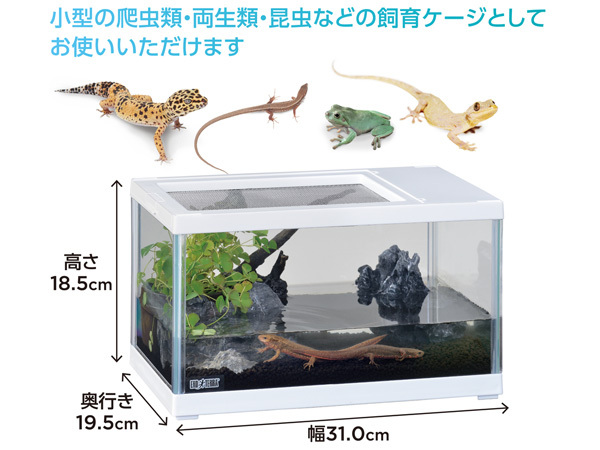 EXO TERRArep терьер twin вид 300 белый примерно ширина 31× глубина 19.5× высота 18.5cm маленький размер рептилии земноводные 2WAY стеклянный клетка GEX бесплатная доставка 