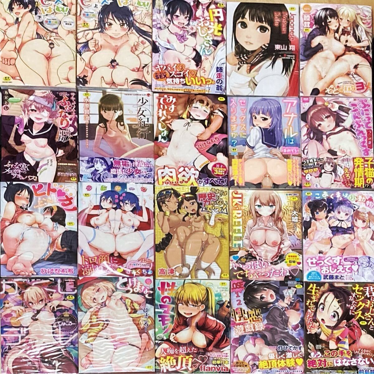 成年コミック 20冊(cè) まとめ売り