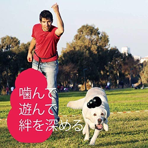 送料無料！ M サイズ コング 犬用おもちゃ Kｏｎｇ（コング）