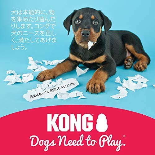送料無料！ M サイズ コング 犬用おもちゃ Kｏｎｇ（コング）