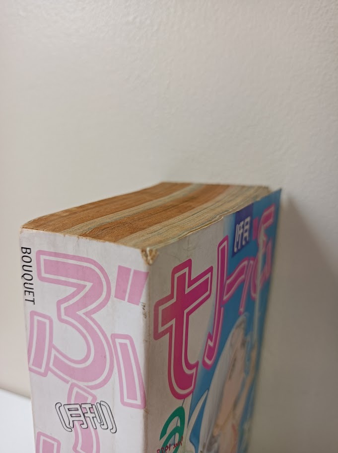月刊 ぶーけ 1988.6 集英社/水樹和佳/槇村さとる/生田悠理/たむろ未知/吉野朔実/竹坂かほり/耕野裕子/花津美子/藤谷みつる/レトロ/B3506044
