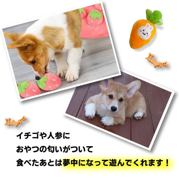 【送料無料】嗅覚トレーニング ノーズワーク 選べるタイプ[にんじん/いちご] ペット おもちゃ 知育玩具 知育トイ 犬 ペット用 認(rèn)知癥