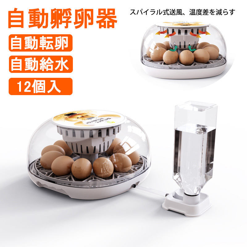 自動孵卵器 ふ卵器 溫度表示 自動転卵/加濕 鶏卵12個入卵可能 ニワトリ?ウズラ?ガチョウの卵など 定溫ふ卵機(jī) 孵化器 孵化裝置 ホワイト
