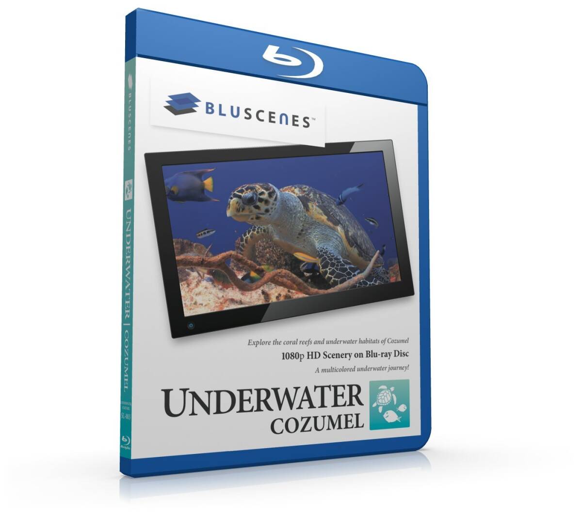 その他 Underwater Cozumel [Blu-ray] 中古】Underwater Cozumel [Blu-ray]