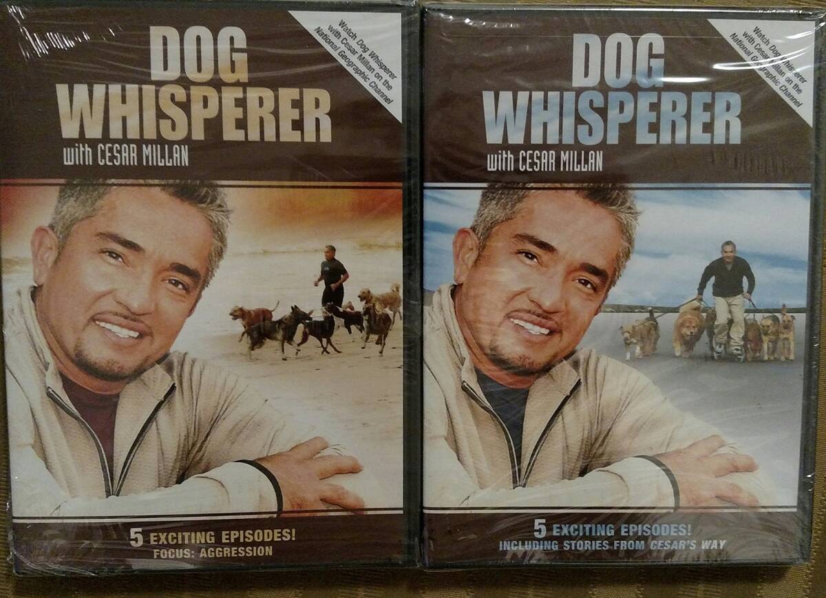 その他 Expo: Magic of White City [DVD] EXPO: Magic of the White City (Video 2005) - IMDb