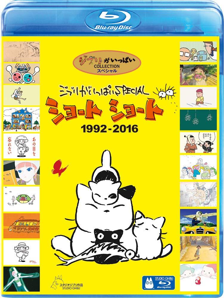 ナ・ヘリョン☆ イ・チャンウク 『私の心は花の雨 』レンタル