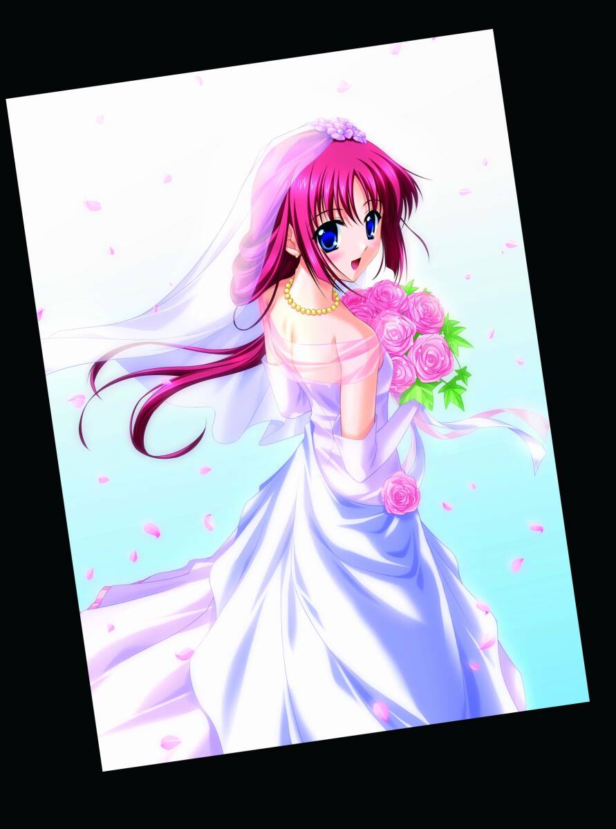 A3815 遊戯王 公式スリーブ　絶版　初期ロゴ　ホログラブラック　161枚 遊戯王 初期ロゴスリーブ ブラック メタリックブラック 27枚